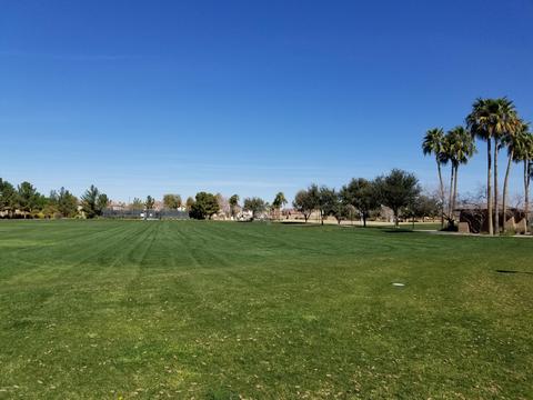 1177 E Buffalo St, Gilbert, AZ 85295 photo 34