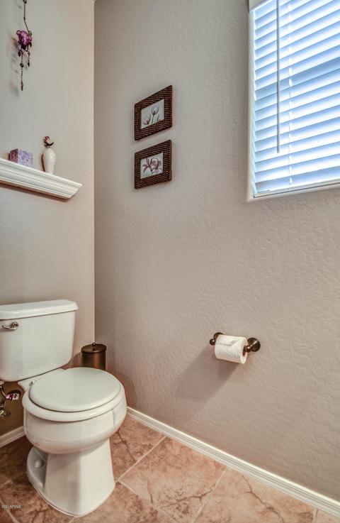 1177 E Buffalo St, Gilbert, AZ 85295 photo 16