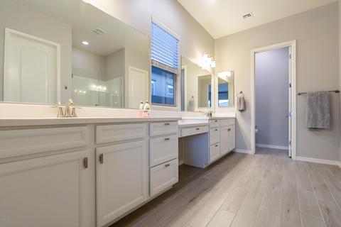 10724 E Simone Ave, Mesa, AZ 85212 photo 47