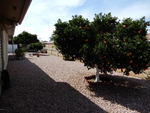 4116 E Carmel Ave, Mesa, AZ 85206 photo 30