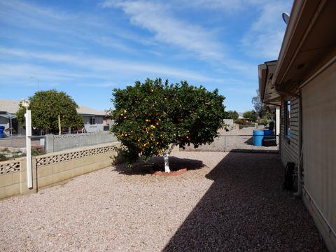4116 E Carmel Ave, Mesa, AZ 85206 photo 31