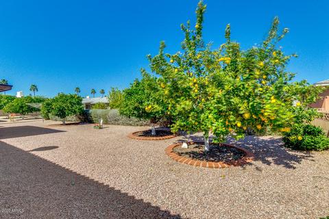 4622 E Capri Ave, Mesa, AZ 85206 photo 25