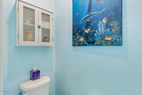 11204 E Aster Ln, Florence, AZ 85132 photo 16