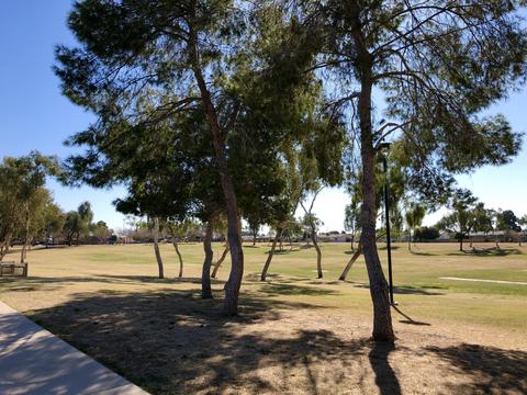 6248 Encanto St, Mesa, AZ 85205 photo 52