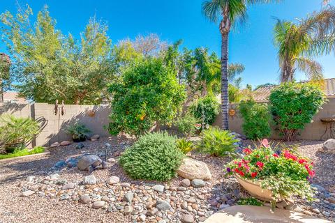 9919 E Kiowa Ave, Mesa, AZ 85209 photo 29
