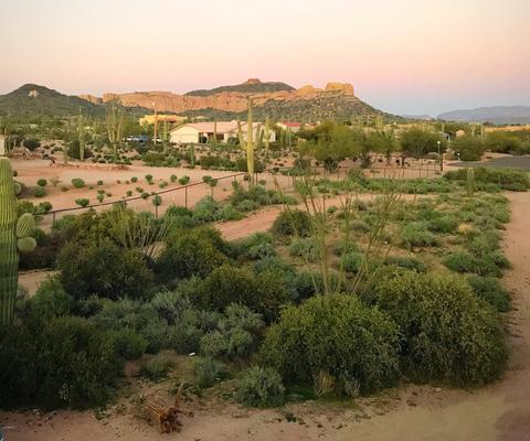 1373 E Frontier St, Apache Junction, AZ 85119 photo 31