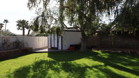 11202 N 23rd Pl, Phoenix, AZ 85028 photo 5