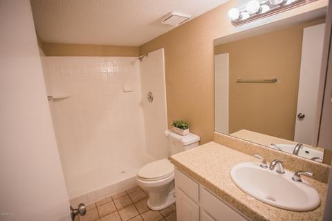 1724 N Spring Cir, Mesa, AZ 85203 photo 40