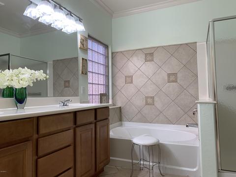 2955 E Lynx Way, Gilbert, AZ 85298 photo 19