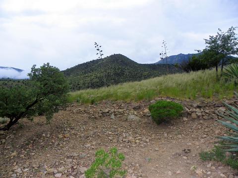 4780 Eagle Nest Trl, Hereford, AZ 85615 photo 28