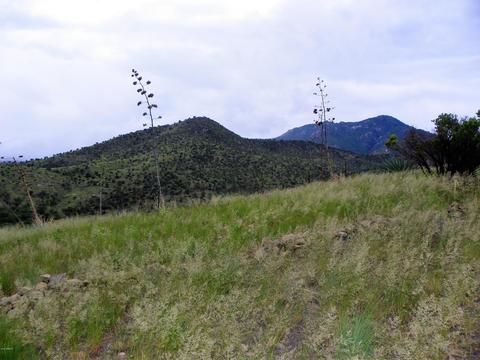 4780 Eagle Nest Trl, Hereford, AZ 85615 photo 27