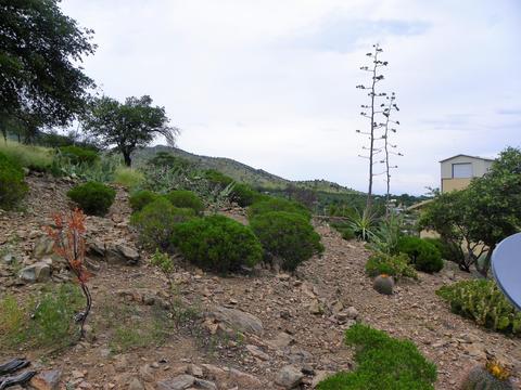4780 Eagle Nest Trl, Hereford, AZ 85615 photo 31