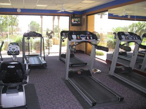 3113 E Peach Tree Dr, Chandler, AZ 85249 photo 42