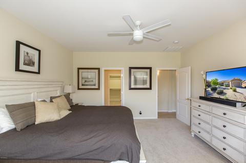 3113 E Peach Tree Dr, Chandler, AZ 85249 photo 16