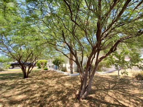 3546 E Polk St, Phoenix, AZ 85008 photo 2