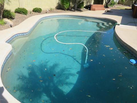 2926 E Villa Rita Dr, Phoenix, AZ 85032 photo 32