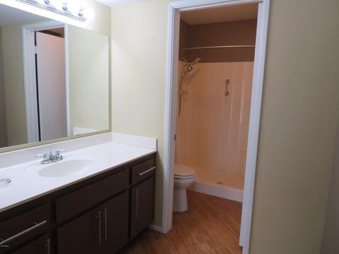2926 E Villa Rita Dr, Phoenix, AZ 85032 photo 21