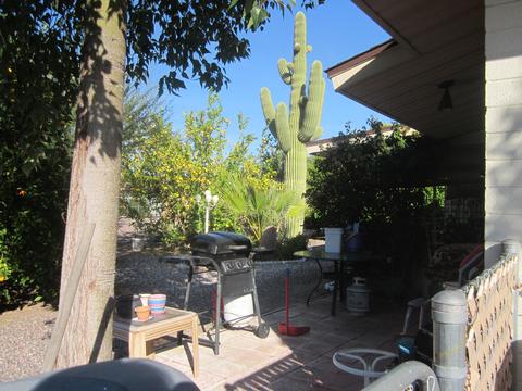 5946 E Anaheim St, Mesa, AZ 85205 photo 2