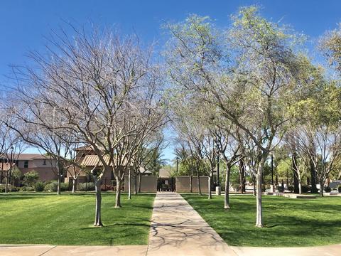 941 S Utilis Dr, Gilbert, AZ 85296 photo 53