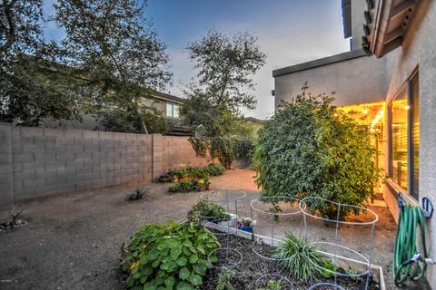 1563 Elgin St, Gilbert, AZ 85295 photo 66