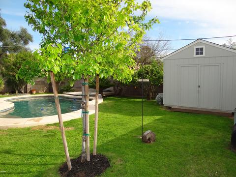 1711 E Solano Dr, Phoenix, AZ 85016 photo 23