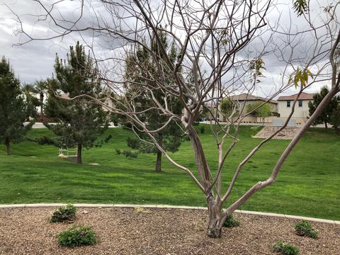 4328 E Toledo St, Gilbert, AZ 85295 photo 38