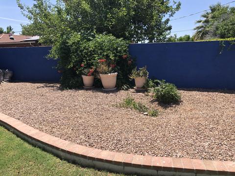 2926 E Flower St, Phoenix, AZ 85016 photo 22