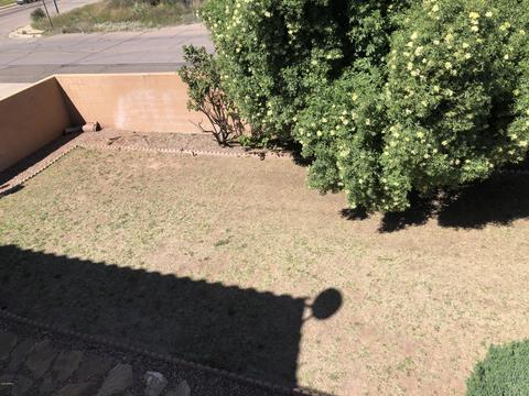 2700 E 10th St, Douglas, AZ 85607 photo 43
