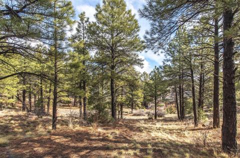 4055 E Broken Rock Loop, Flagstaff, AZ 86004 photo 24