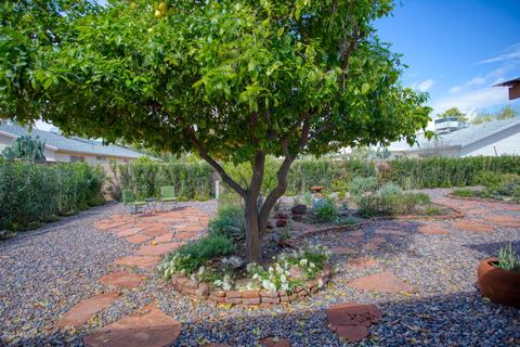 11626 S Mohave St, Phoenix, AZ 85044 photo 16