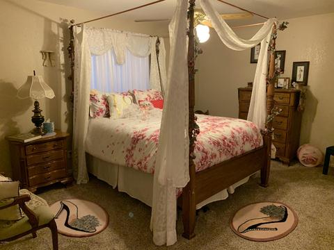 4814 E Dixon St, Mesa, AZ 85205 photo 49