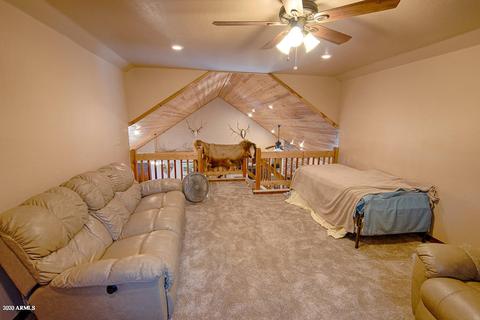2712 Lost Way, Overgaard, AZ 85933 photo 29