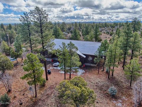 2712 Lost Way, Overgaard, AZ 85933 photo 3