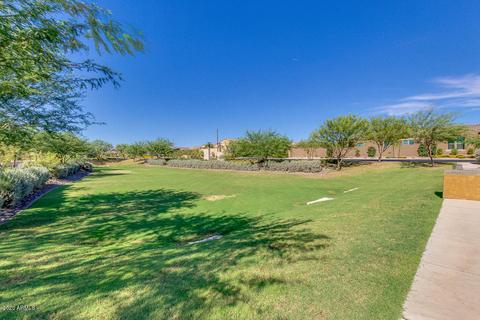 10706 E Lincoln Ave, Mesa, AZ 85212 photo 39