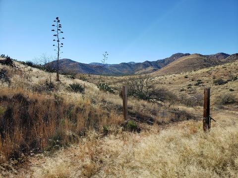 735 W Eagle Wings Rd, Pearce, AZ 85625 photo 40