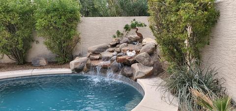 3728 E Kent Dr, Phoenix, AZ 85044 photo 2