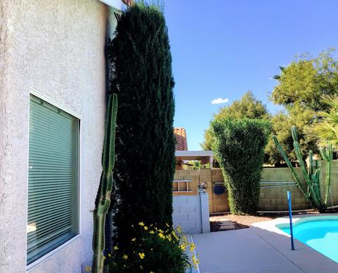 4640 E Michelle Dr, Phoenix, AZ 85032 photo 37