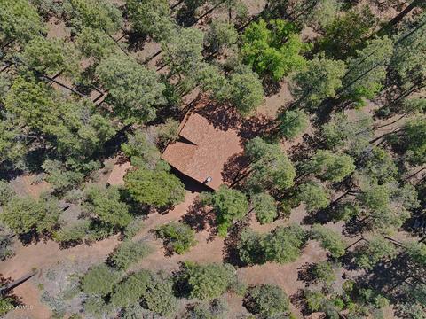 2831 Cattle Trail Rd, Overgaard, AZ 85933 photo 7