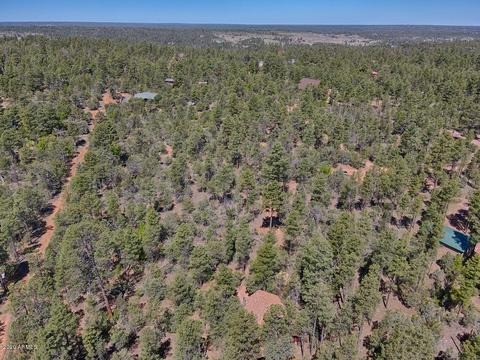2831 Cattle Trail Rd, Overgaard, AZ 85933 photo 8