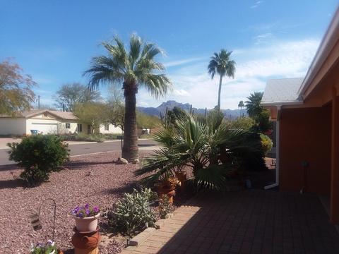 919 E Granada Ave, Apache Junction, AZ 85119 photo 4