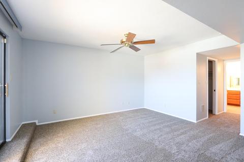 6531 N 3rd Ave #13, Phoenix, AZ 85013 photo 17