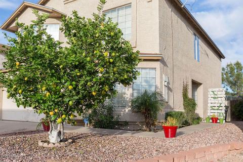 3755 E Broadway Rd #107, Mesa, AZ 85206 photo 6