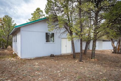 3038 Chevelon Rd, Overgaard, AZ 85933 photo 31