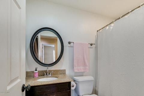 317 E Cullumber Ave, Gilbert, AZ 85234 photo 19
