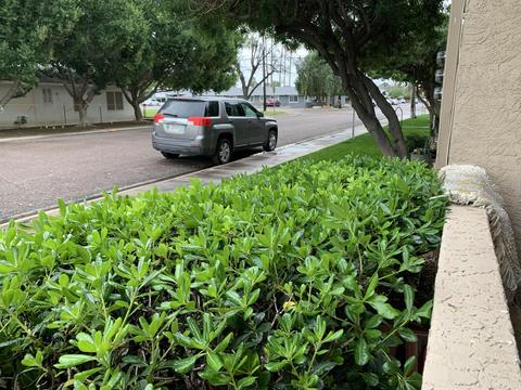 1352 E Highland Ave #105, Phoenix, AZ 85014 photo 21