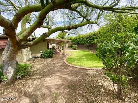 41 W Mclellan Blvd, Phoenix, AZ 85013 photo 15