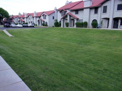 6262 E Brown Rd #2, Mesa, AZ 85205 photo 33
