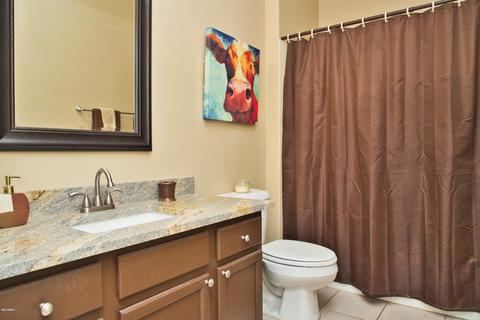 4321 E Badger Way, Phoenix, AZ 85044 photo 24