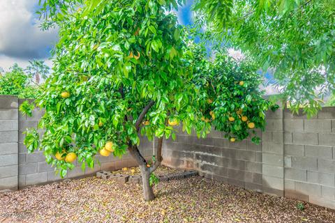 2769 E Highland Ct, Gilbert, AZ 85296 photo 34