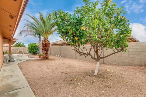 11537 E Navarro Ave, Mesa, AZ 85209 photo 33